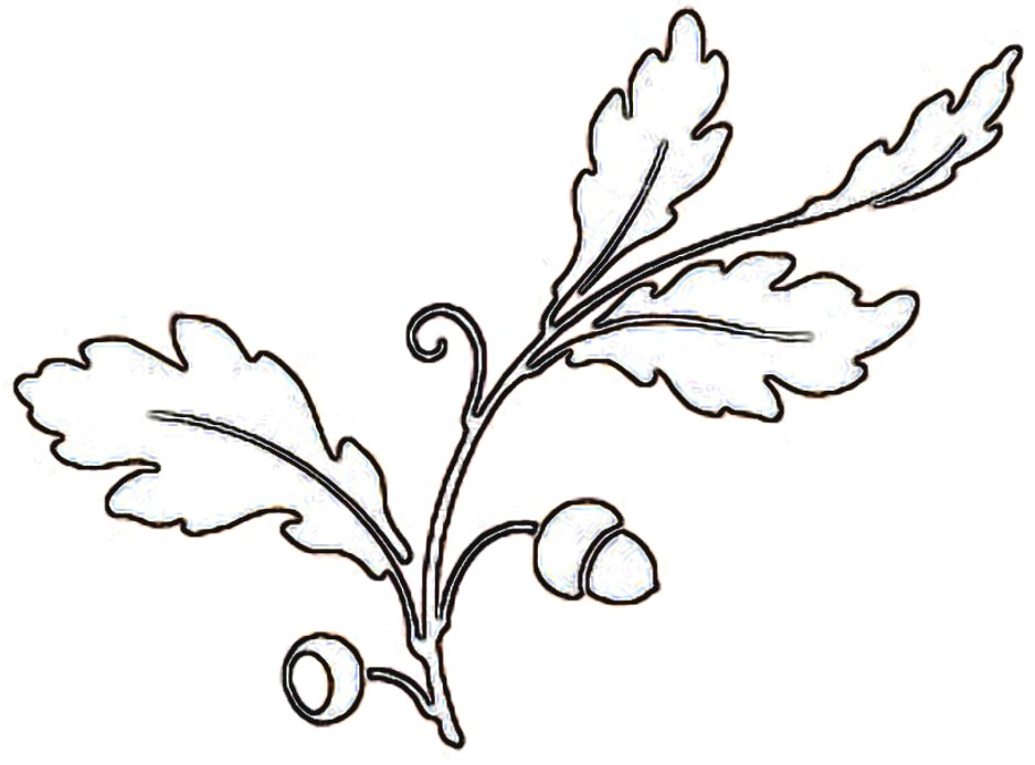 Free Oak Leaf Outline, Download Free Clip Art, Free Clip Art.