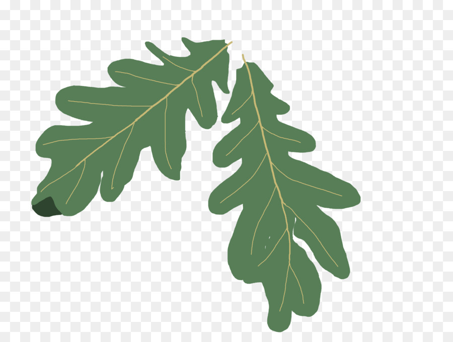 Oak Tree Leaf clipart.
