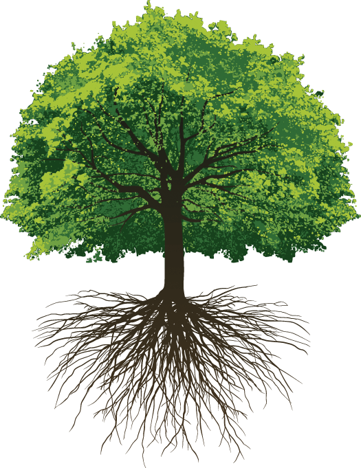 Oak Tree With Roots Svg