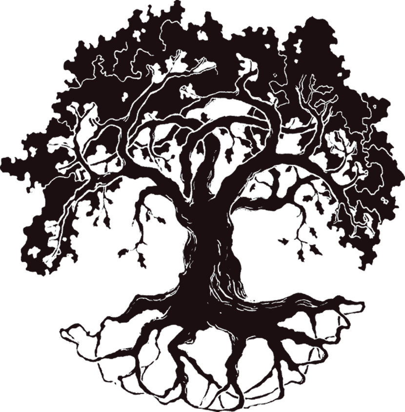 free clipart line drawing live oak tree 20 free Cliparts ...