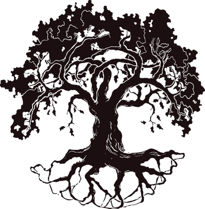 free clipart line drawing live oak tree 20 free Cliparts | Download