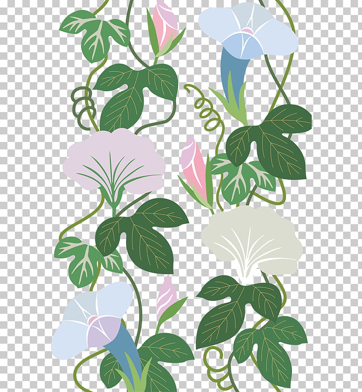 Flower, Trumpet flower vines shading material Obscure PNG.