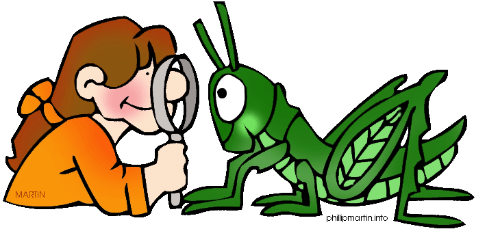 Observation 20clipart.