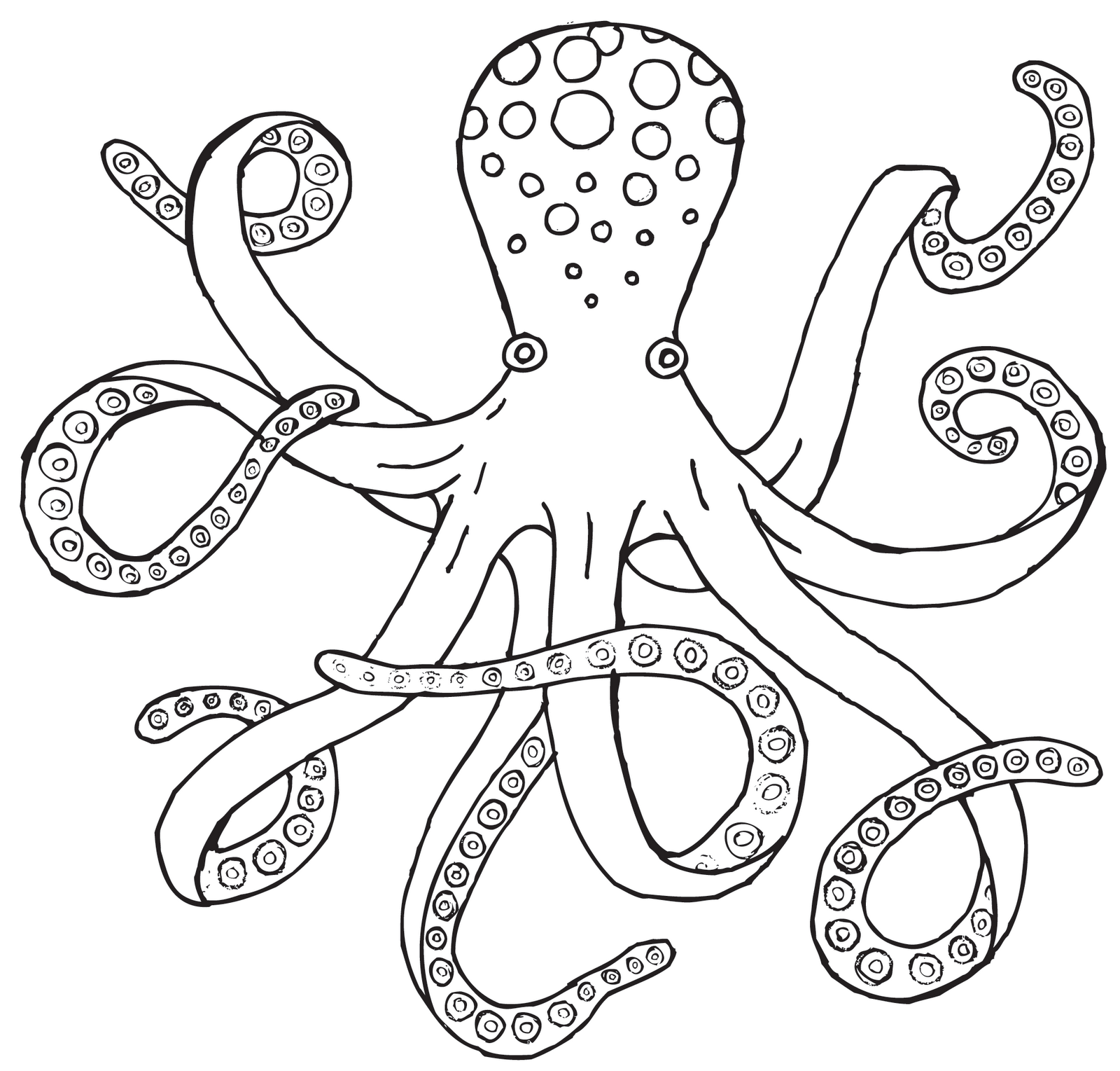 octopus clipart outline 20 free Cliparts Download images on