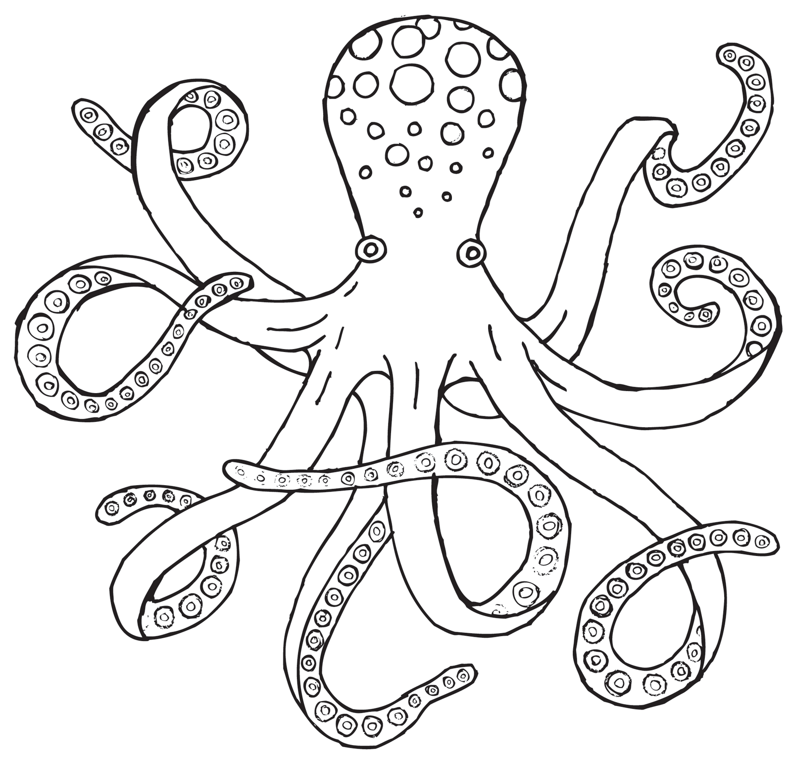 Printable Octopus Outline Printable Word Searches