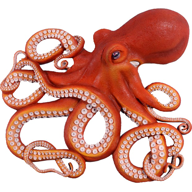 Octopus PNG Photo.