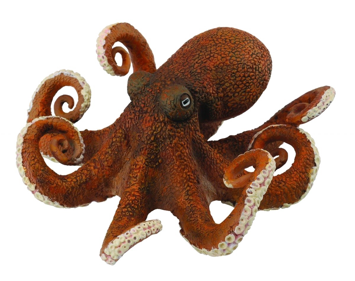 Octopus PNG Images Transparent Free Download.