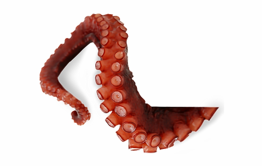 Octopus Tentacles Png Transparent Picture.