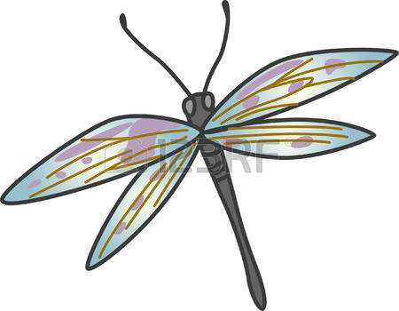 107 Odonata Stock Vector Illustration And Royalty Free Odonata Clipart.