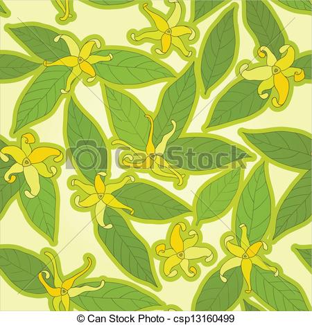 Cananga odorata ylang ylang Illustrations and Clipart. 20 Cananga.