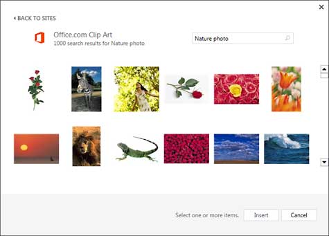 Insert Picture from the Office ClipArt Collection in.