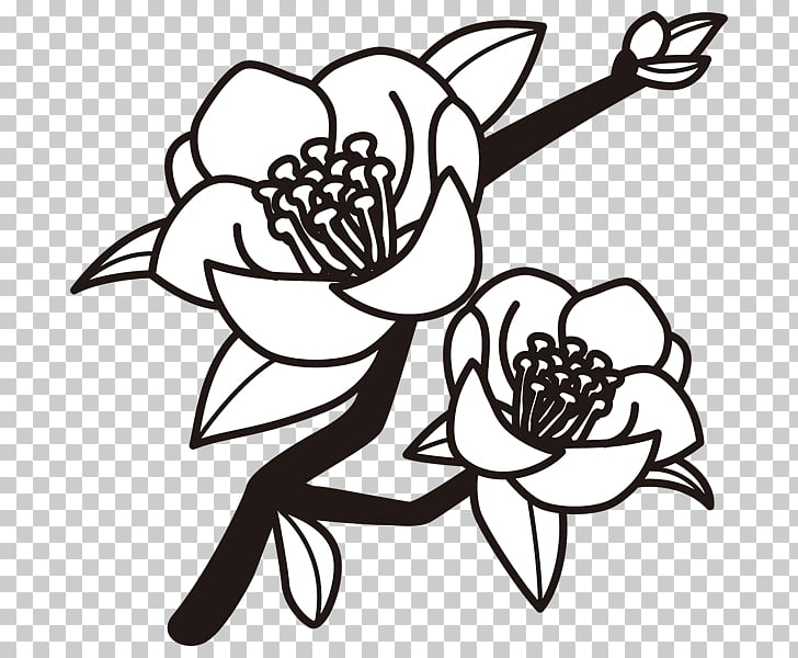 Black and white Drawing Japanese camellia Monochrome.