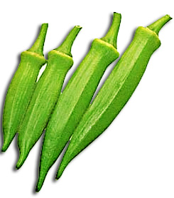 Okra Clipart.