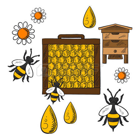 6,560 Beekeeping Stock Vector Illustration And Royalty Free.