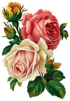 vintage rose clip art, vintage rose decoupage.