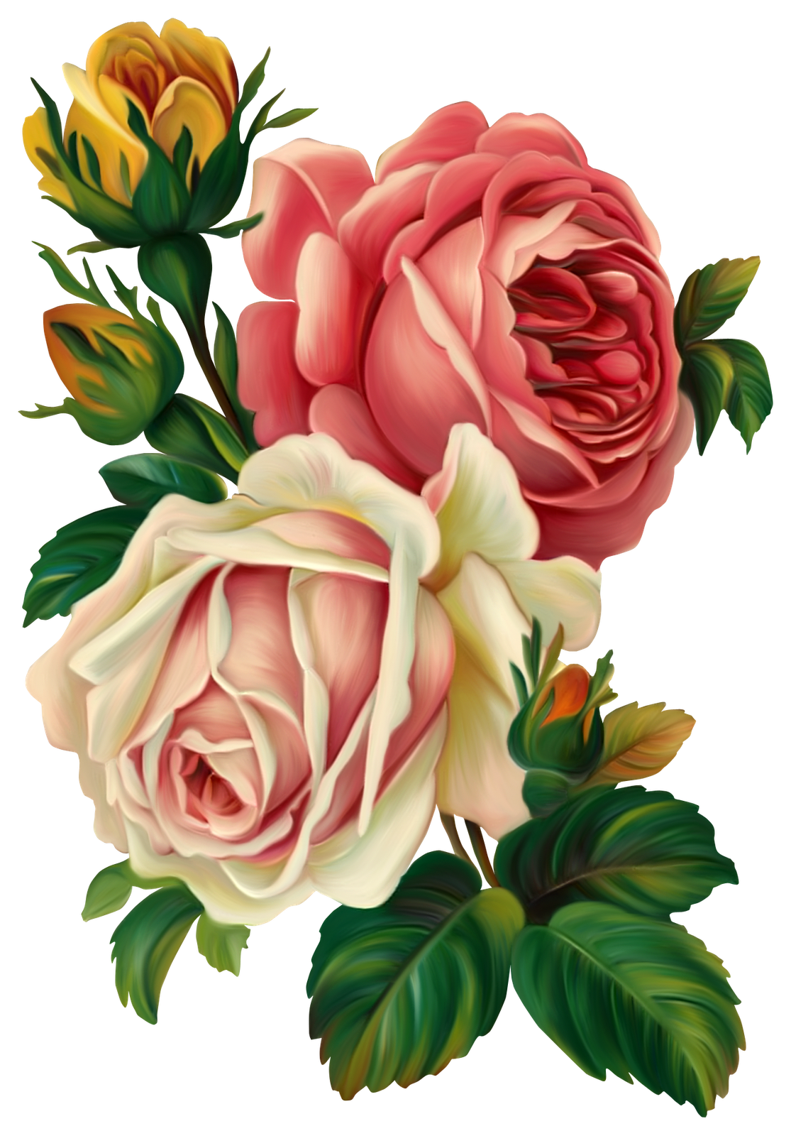Old fashioned rose clipart 20 free Cliparts | Download ...