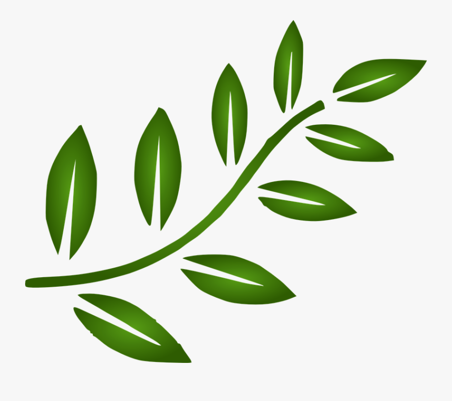 Green Leaf Design Png.