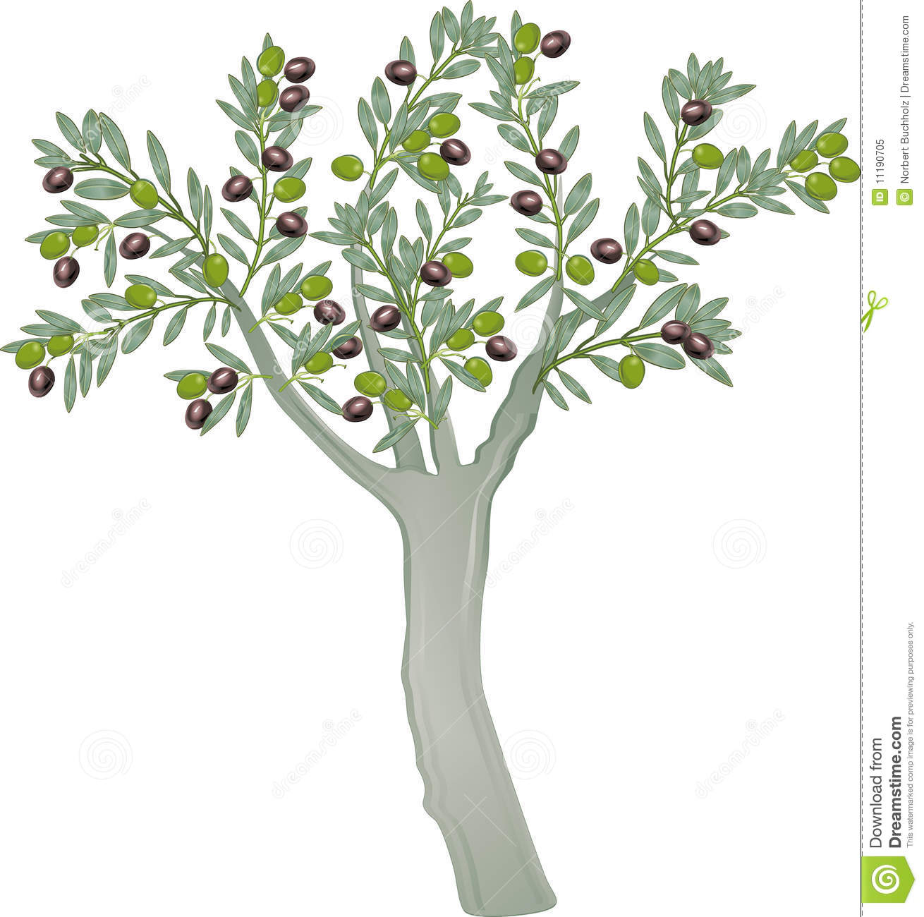 Olive trees clipart 20 free Cliparts | Download images on Clipground 2022