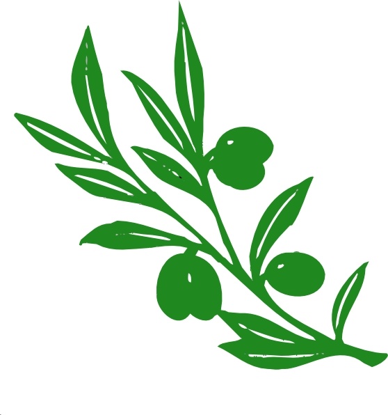 Olive Tree Branch clip art Free vector in Open office.