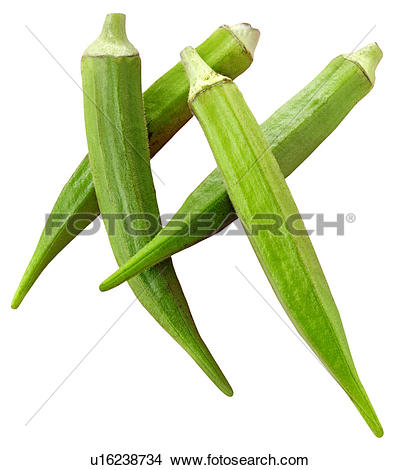 Stock Photo of Okra / Ladies Fingers Cut Out u16238734.