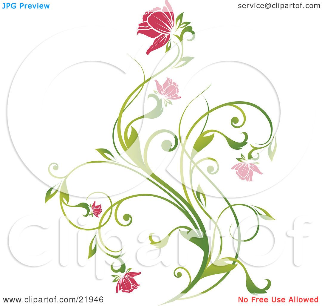 Clipart Picture Illustration of a Delicate Green Plant With Pink.