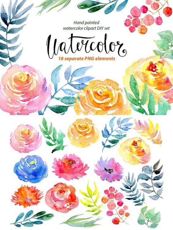 Flower clipart, Watercolor flowers and Watercolors on Pinterest.