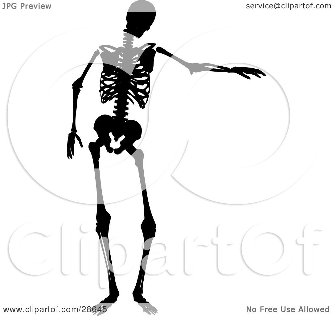 Clipart Illustration of a Black Silhouetted Skeleton Holding One.