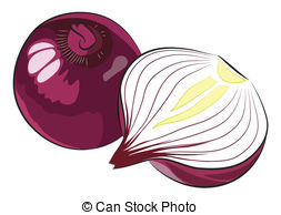 Onion Clipart Free.