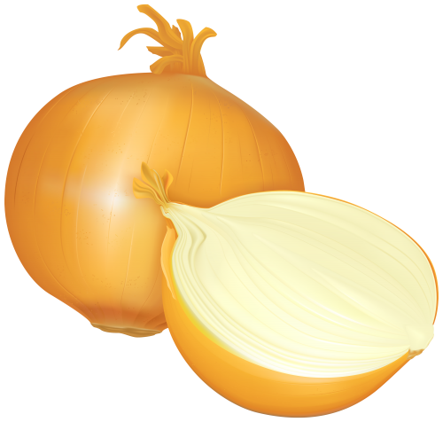 Onion PNG Clipart.