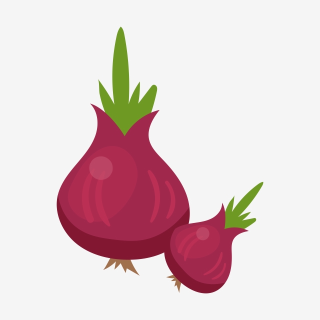 Onion Vector Png, Vector, PSD, and Clipart With Transparent.