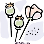 opium Vector Clip art.