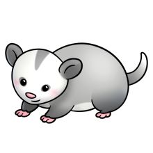 Opossum clipart 20 free Cliparts | Download images on Clipground 2021