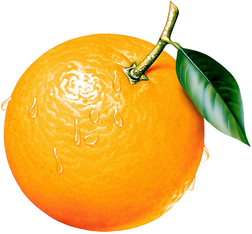 Clipart of orange.