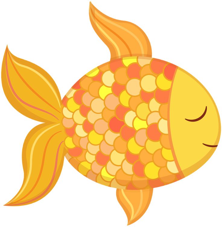 17 Best images about Clipart zeedieren/animals of the sea on.