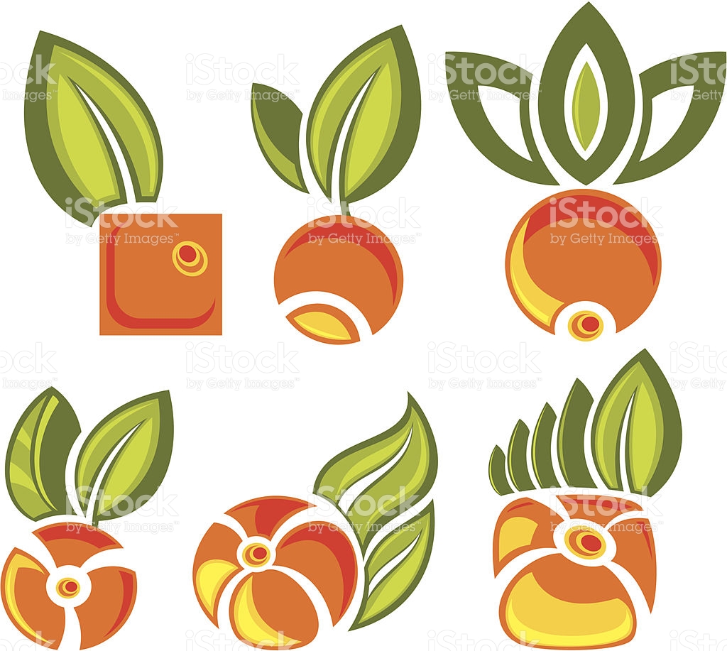 Orange Berry With Green Leaf stock vector art 480090339.