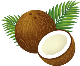 Clipart Coconut.