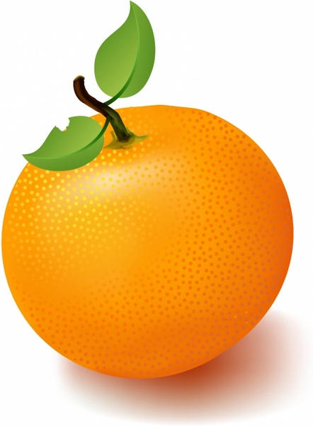  orange  fruit  clipart  10 free Cliparts  Download images on 