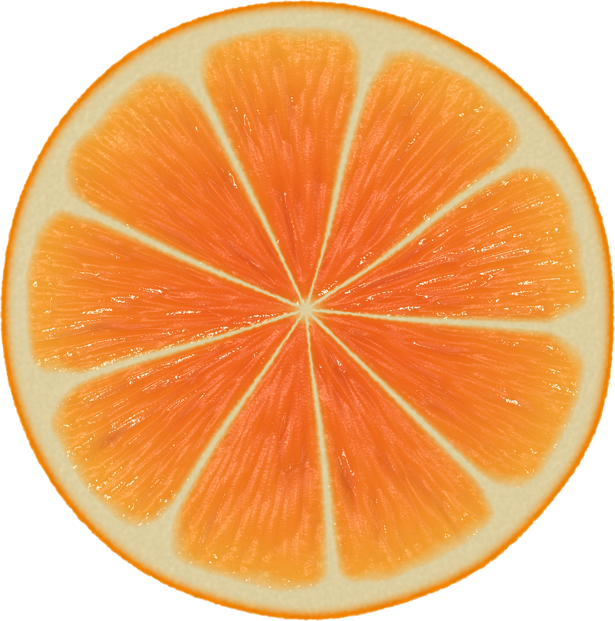 Orange Slice Png 10 Free Cliparts Download Images On Clipground 2023