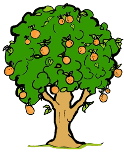 Orange Tree Clipart.