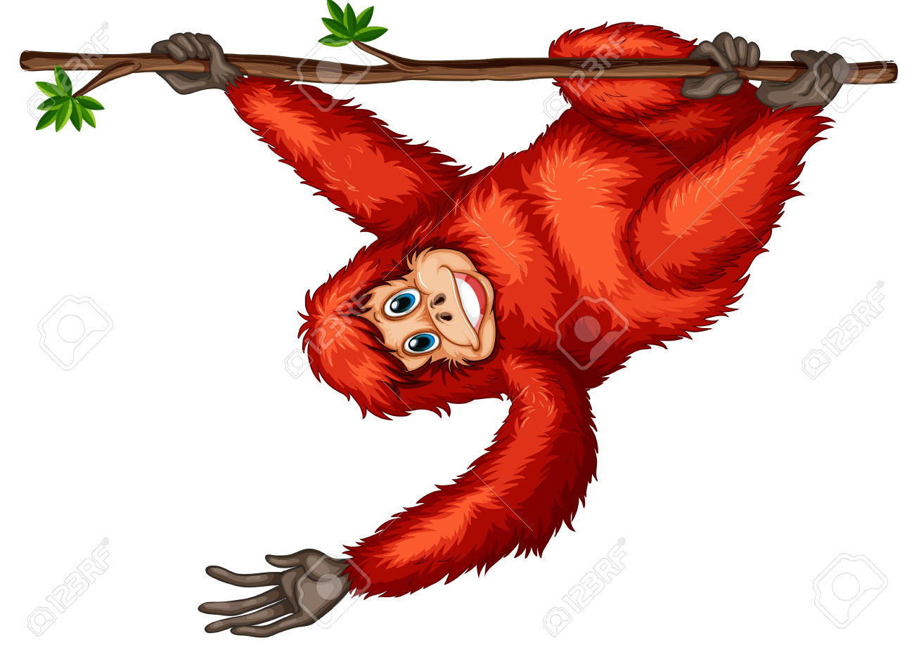 Orangutan clipart 20 free Cliparts | Download images on Clipground 2024