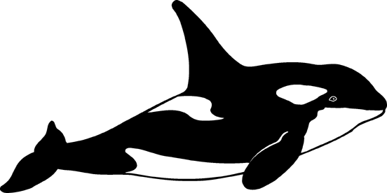 Free Orca Cliparts, Download Free Clip Art, Free Clip Art on.