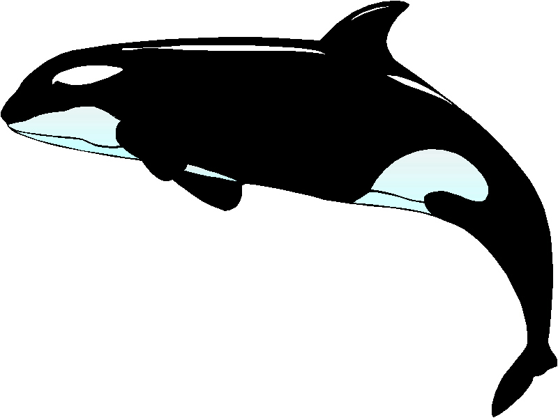 32+ Orca Whale Clip Art.