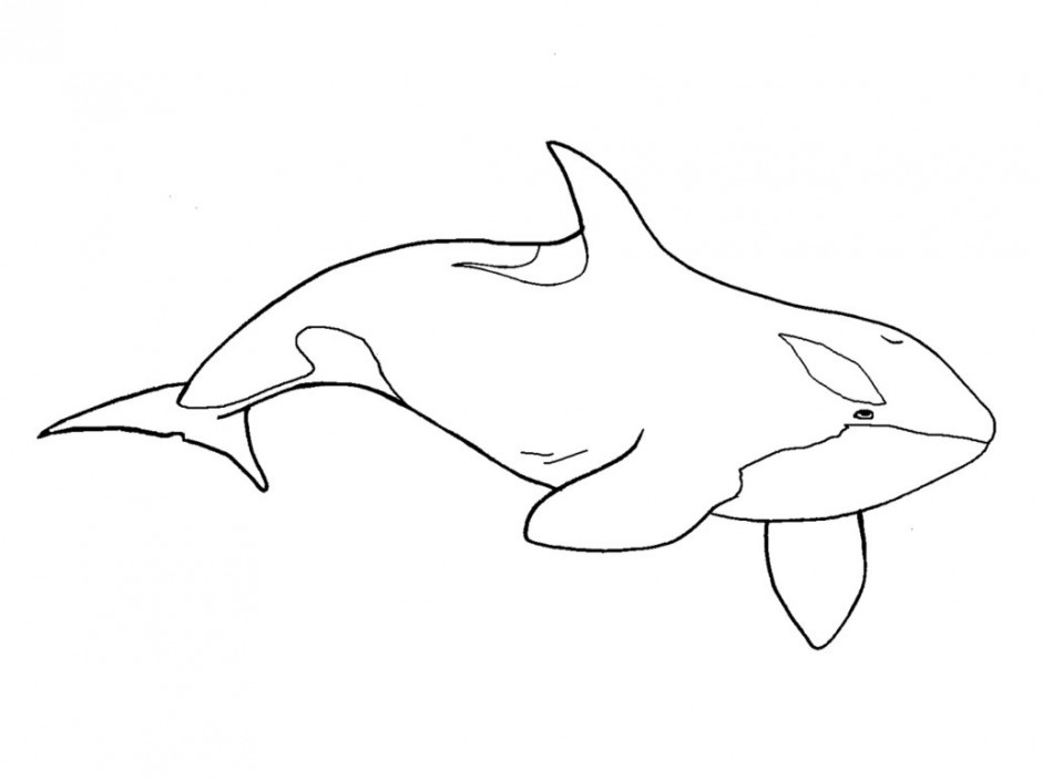 Free Orca Clipart Black And White, Download Free Clip Art.