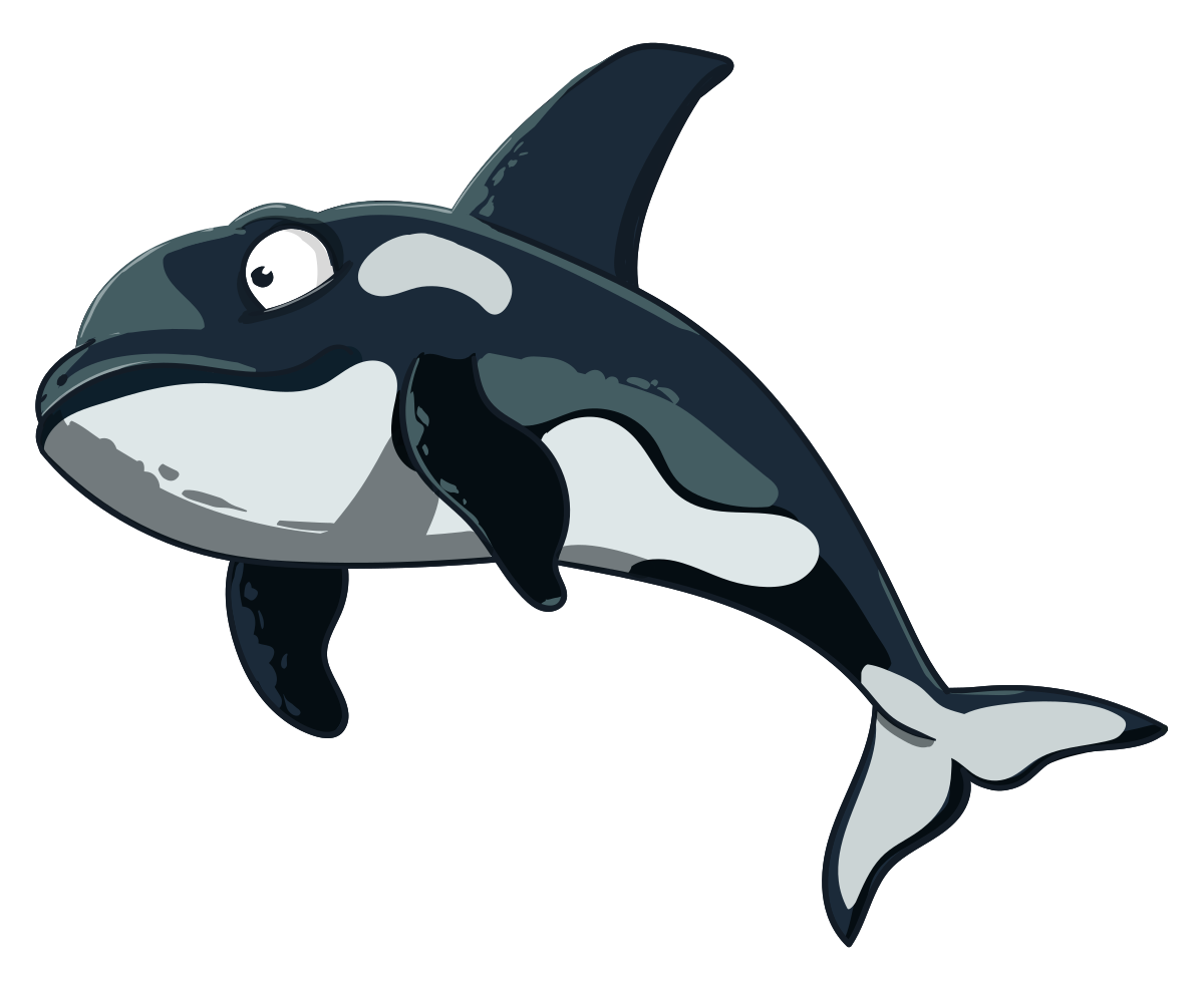 Orca clipart vector SVG.