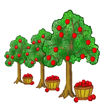 Apple Orchard Clipart.