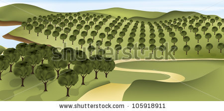 Vector orchards for free download about (6) vector orchards. sort.