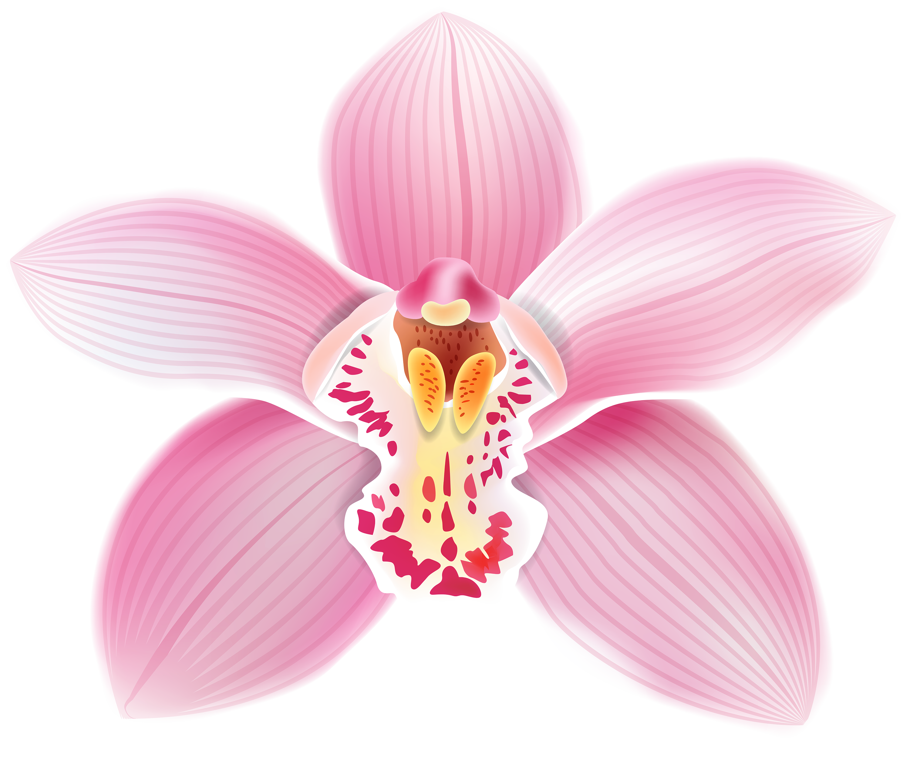 Pink Orchid PNG Clipart.