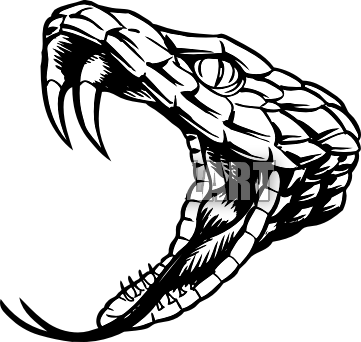 Ordinary snake head clipart 20 free Cliparts | Download images on