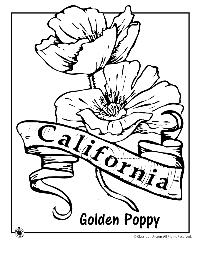 State Flower Coloring Pages.