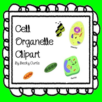 Cell Organelle Clipart.